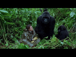 gorillas in the mist: the story of dian fossey dvdrip 1988